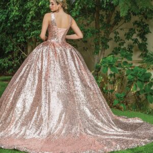 Vestido de XV años IL