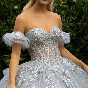 Vestido de XV Años Estilo Princesa “Reina de Hielo”