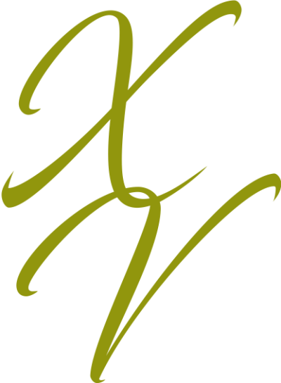 xv logo 3